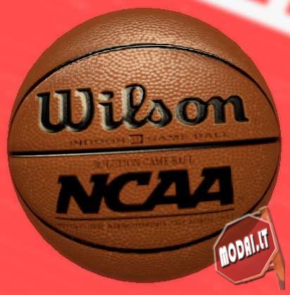 Wilson NCAA Ball