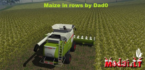 Maize in rows by Dad0