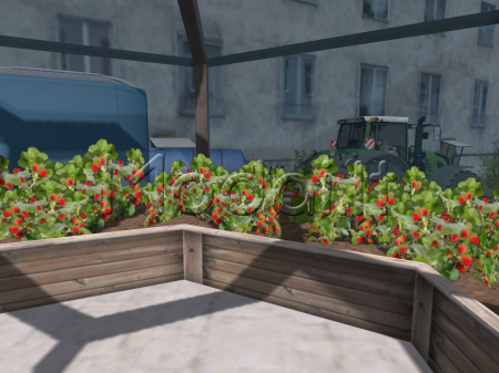 Strawberries greenhouse v 1.0 [MP]