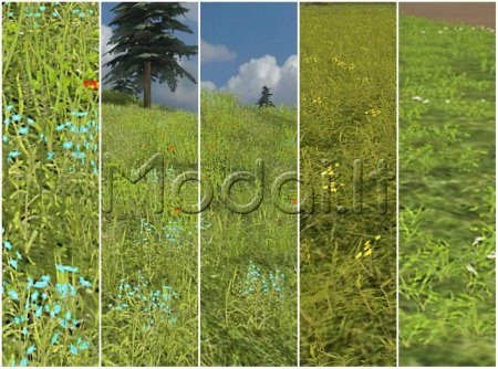 DAHEMAC'S GRASS TEXTURE WITH FLOWERS V2