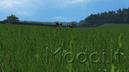 COLDBOROUGH FARM 2015