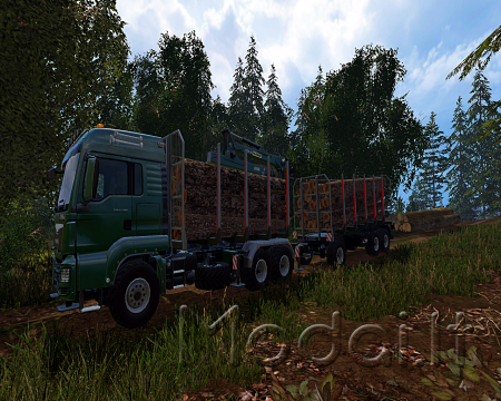 MAN TGS 33.480 Wood Transport Pack