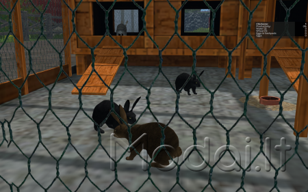 Placeable Rabbit Shelter