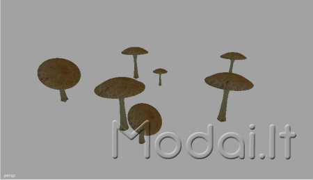 Mushrooms MMR V 1.0