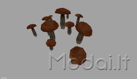 Mushrooms V 1.0 [NEW]