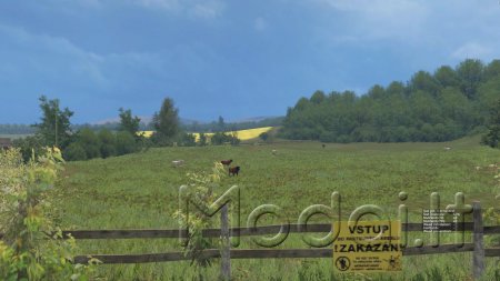 CZECH VALLEY BY COUFY SOIL 1.1