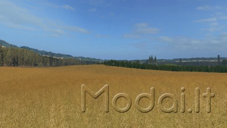 Baltic village FS17 V1