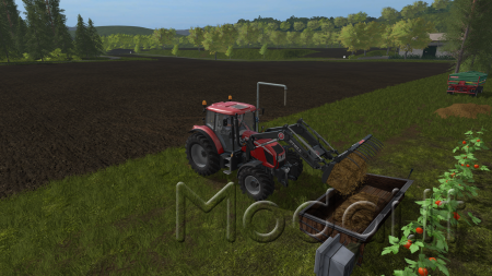 PLACEABLE TOMATO FIELD V1.0 FS17