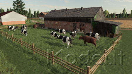 Small Cowshed With Pasture